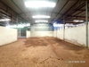 listing thumbnail image 29