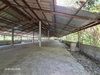 listing thumbnail image 25