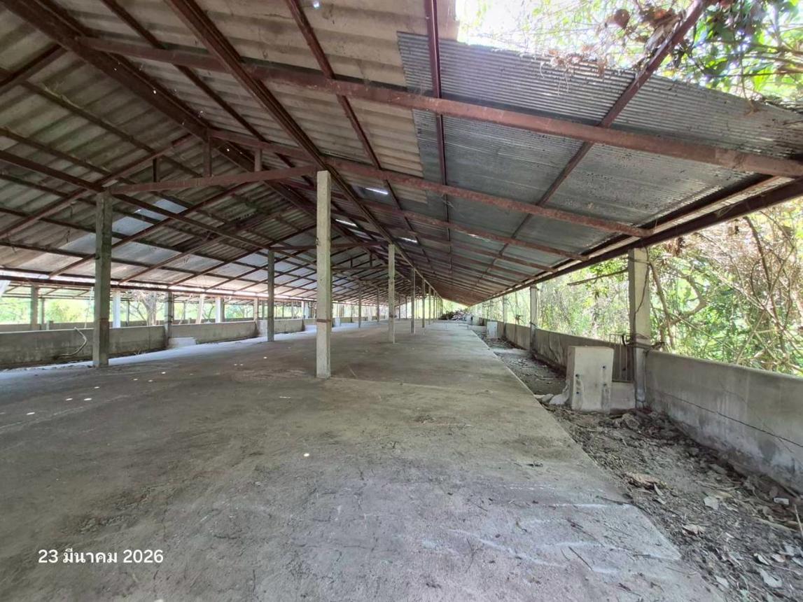 picture FACTORY 4023 Sq.w. Wiang Chai Chiang Rai for 4.5M - 26/34