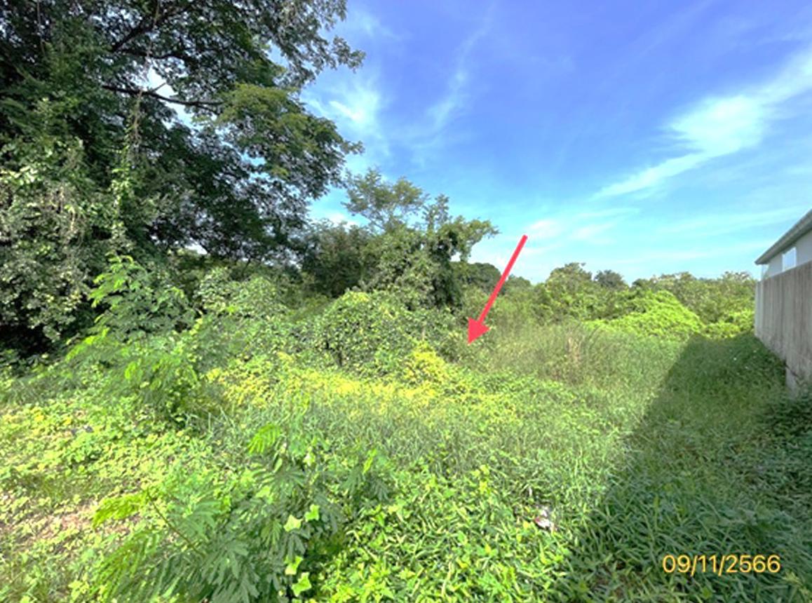 picture LAND 96 Sq.w. Muang Ratchaburi Ratchburi for 1.2M - 9/16