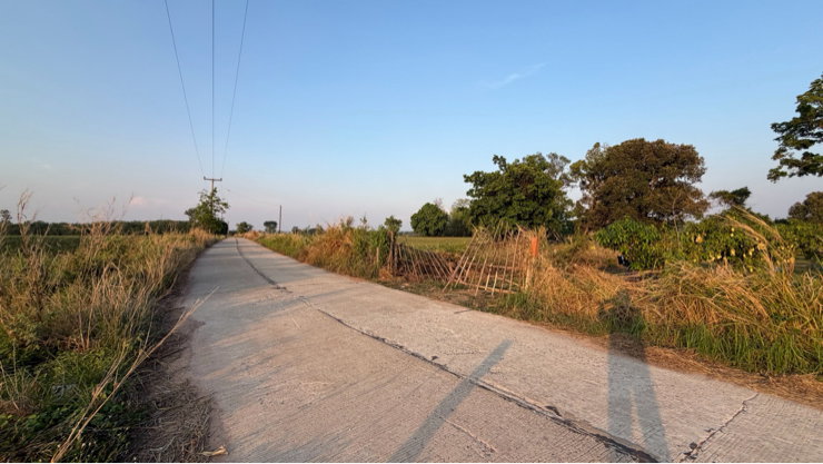 รูป ที่ดินติดถนนบ้านหนองริวหนัง-บ้านหนองไผ่(กส.3121) ตำบลเสาเล้า อำเภอหนองกุงศรี จังหวัดกาฬสินธุ์ - รูปที่ 2/6