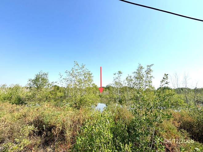 picture LAND 6851 Sq.w. Muang Samut Songkhram Samut Songkram for 68.5M - 5/14