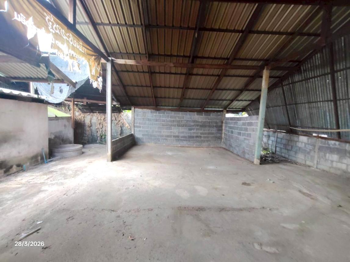 รูป บ้านเดี่ยว 85 ตร.วา ชุมแพ ขอนแก่น 958,000 - รูปที่ 34/38
