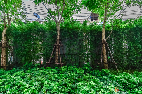 Chapter Thonglor 25  High-potential Location, Not as Expensive as You Think
