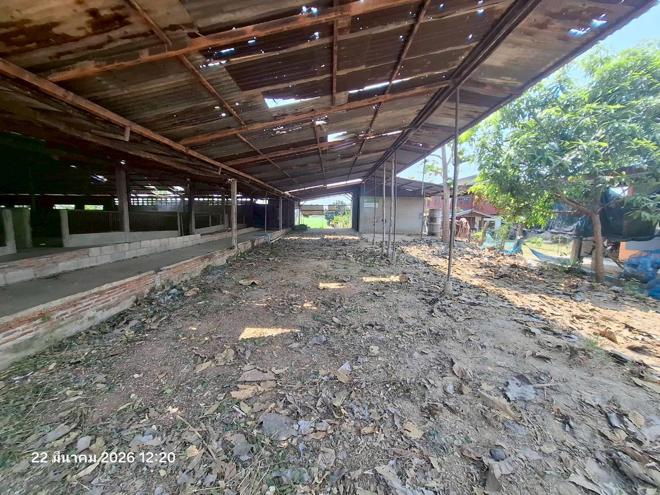 รูป ฟาร์ม 848.1 ตร.วา ศรีสำโรง สุโขทัย 2.2M - รูปที่ 3/30
