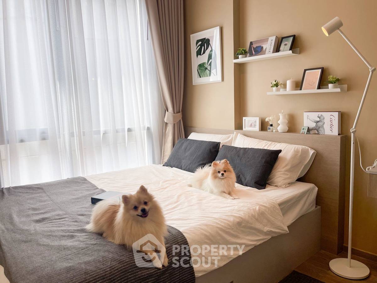 รูป คอนโด 1-ห้องนอน ที่ บริกซ์ตัน เพ็ทแอนด์เพลย์ สุขุมวิท 107 ใกล้ BTS แบริ่ง (ID 2480192) - รูปที่ 2/12