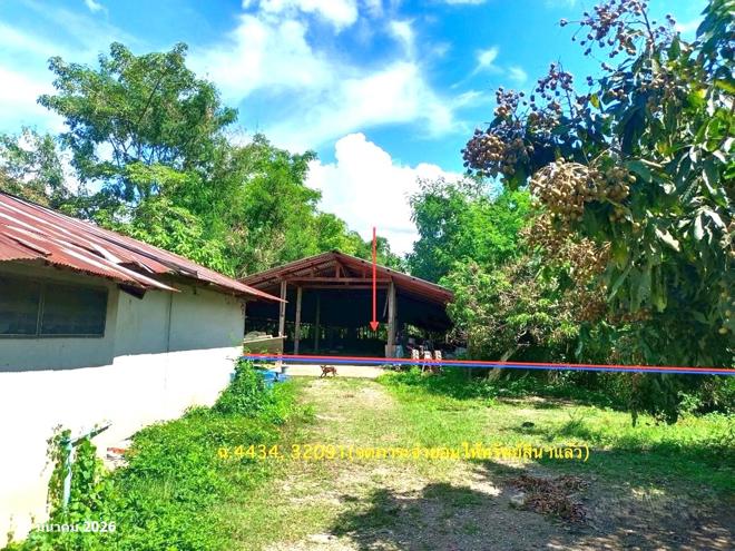 picture FACTORY 4023 Sq.w. Wiang Chai Chiang Rai for 4.5M - 15/34