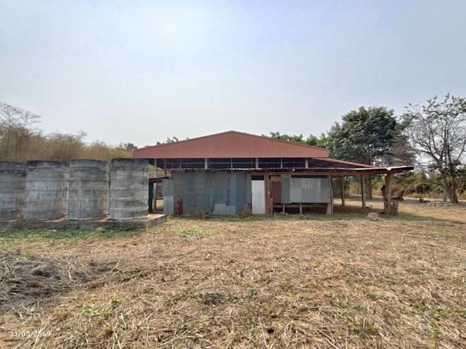 picture FACTORY 7657.2 Sq.w. Laplae Uttaradit for 3.9M - 4/26