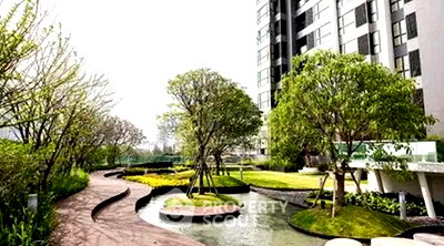 Condos for rent : High-Floor 1-BR 48 Sqm At Rhythm Sukhumvit 44/1, 70m To BTS Phra Khanong (ID 2724990)