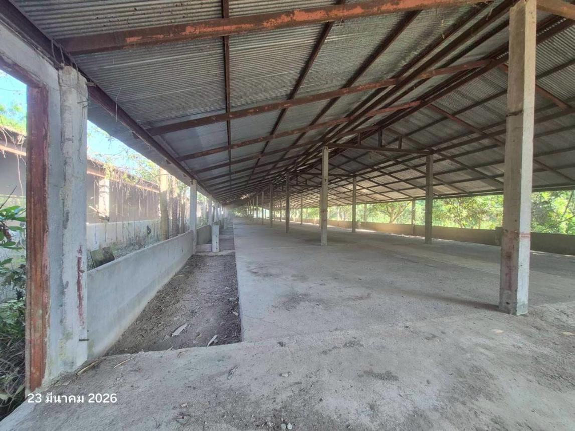 picture FACTORY 4023 Sq.w. Wiang Chai Chiang Rai for 4.5M - 20/34