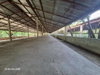 listing thumbnail image 23