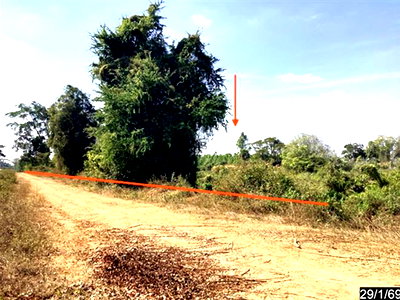 LAND 3170 Sq.w. Chum Phuang Nakhon Ratchasima for 5.5M