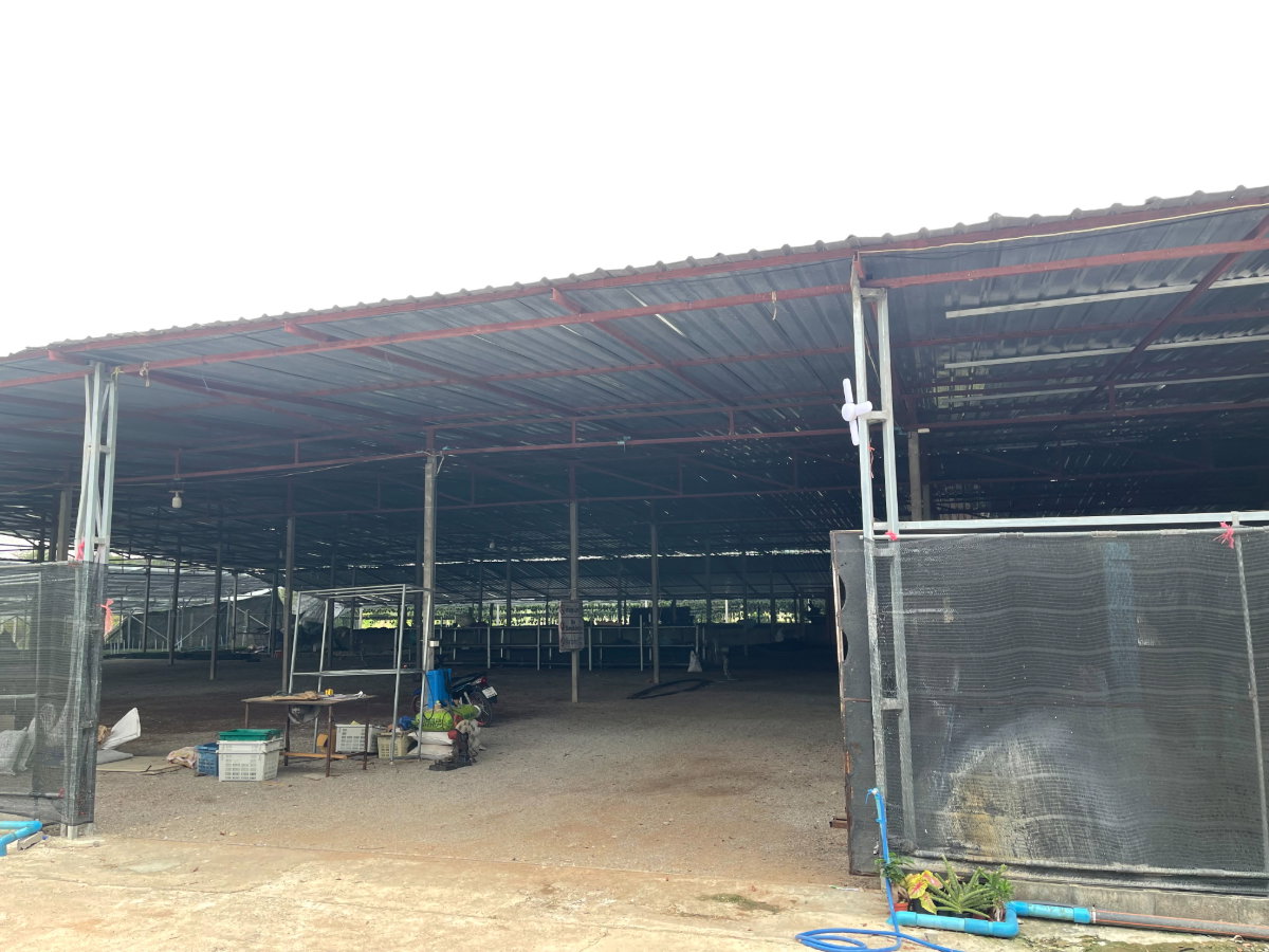 รูป ขายที่ดินสวย พร้อมสิ่งปลูกสร้าง โรงเรือน 9 ไร่ ต.บ้านใหม่ อ.ท่าม่วง จ.กาญจนบุรี - รูปที่ 2/8