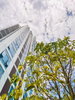listing thumbnail image 9