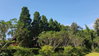 listing thumbnail image 8