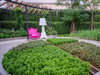listing thumbnail image 21