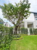 listing thumbnail image 8