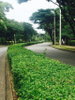 listing thumbnail image 16