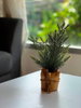 listing thumbnail image 2