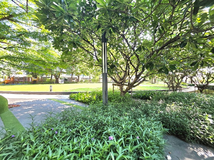 picture Single House with garden view at Mantana Srinakarin-Romklao - 14/14