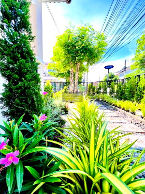 บ้านเดี่ยว ปทุมธานี : ขายบ้าน  ชัยพฤกษ์ 1 ห้องมุม รีโนเวทใหม่ บางคูวัด เมืองปทุมธานี ปทุมธานี CX-157207 ✅ ทักไลน์ @connexproperty ตอบทันที ทีมงานมืออาชีพ ✅