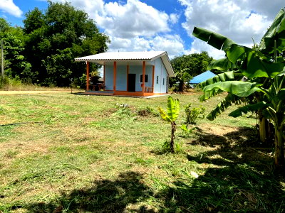 Land for sale : Urgent sale! Land with buildings, Bo Kwang Thong, Bo Thong, Chonburi.