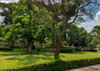 listing thumbnail image 15
