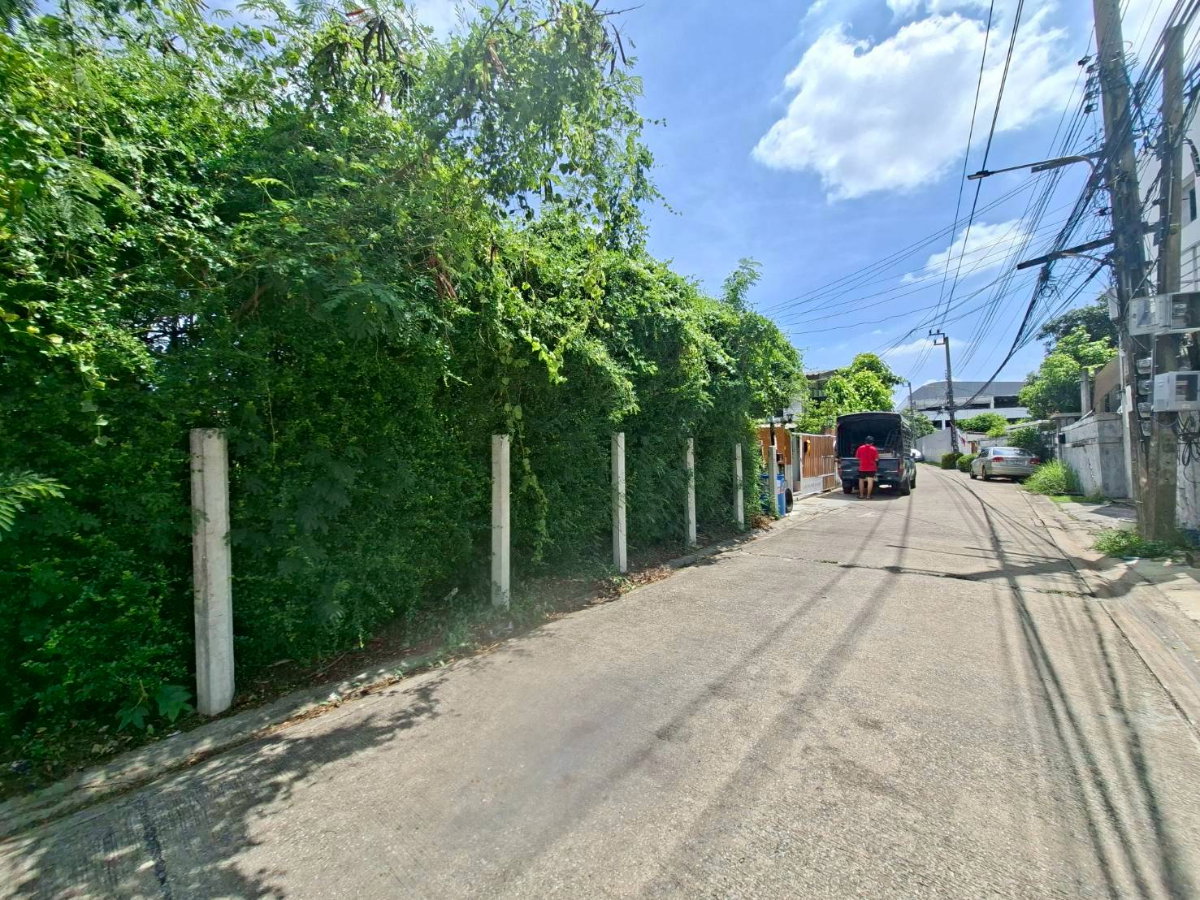 รูป ให้เช่าบ้านเดี่ยว สไตล์บ้านสวนใจกลาง อุดมสุข 48 บรรยากาศร่มรื่นน่าอยู่ (N.2168) - รูปที่ 18/18