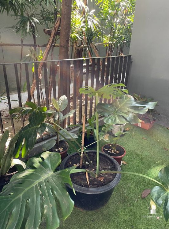 รูป PM038041 ✨Flash Deal ✨ VTARA Sukhumvit 36 (2Bed 2Bath 91 SQM.) พร้อมอยู่ ! เพียง 45,000 บาทต่อเดือน Tel.0981315848 @propmatch - รูปที่ 21/21