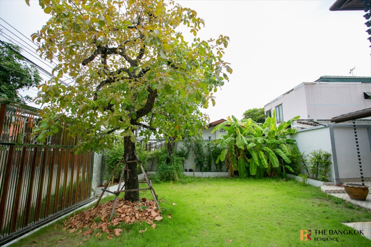 รูป เช่าบ้าน 🏡 House Area Huai Khwang บ้านเดี่ยวไม้สักแท้  3นอน 350ตร.ม. 70k สไตล์ไทย พร้อมสวนขนาดใหญ่ 🌿 ใกล้ MRT สุทธิสาร 1.7 km  - รูปที่ 3/10