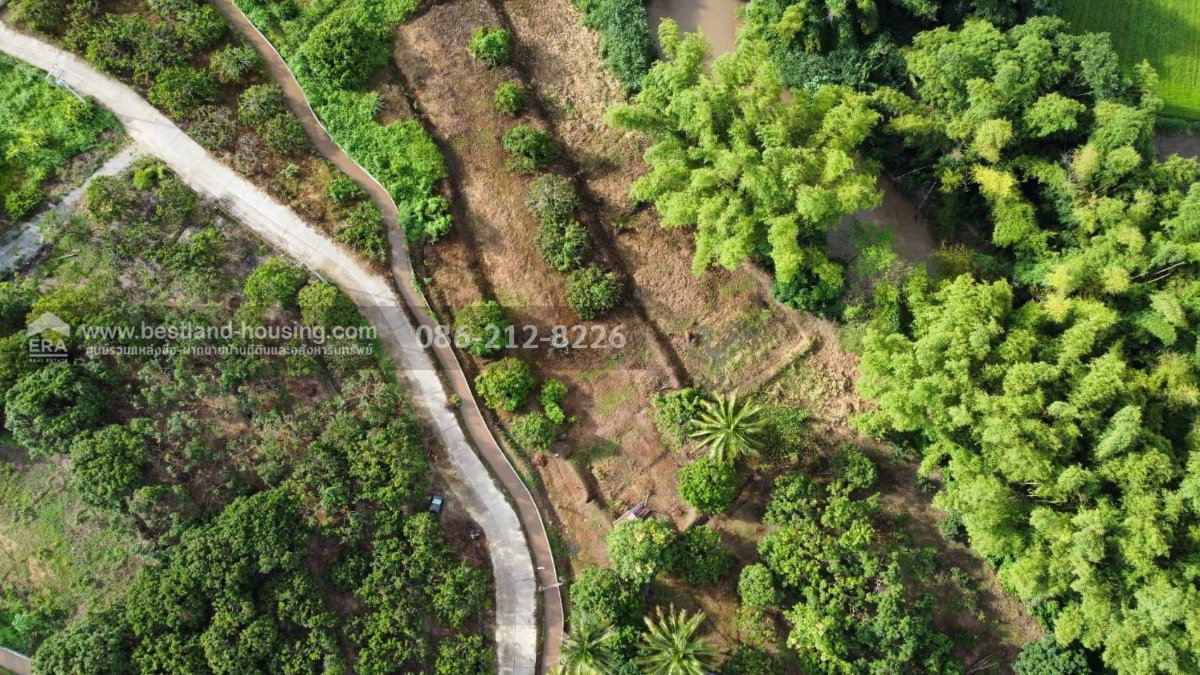 รูป ขายที่ดินเปล่า 3-3-1 ไร่ ต.ข่วงเปา อ.จอมทอง เชียงใหม่ - รูปที่ 9/11