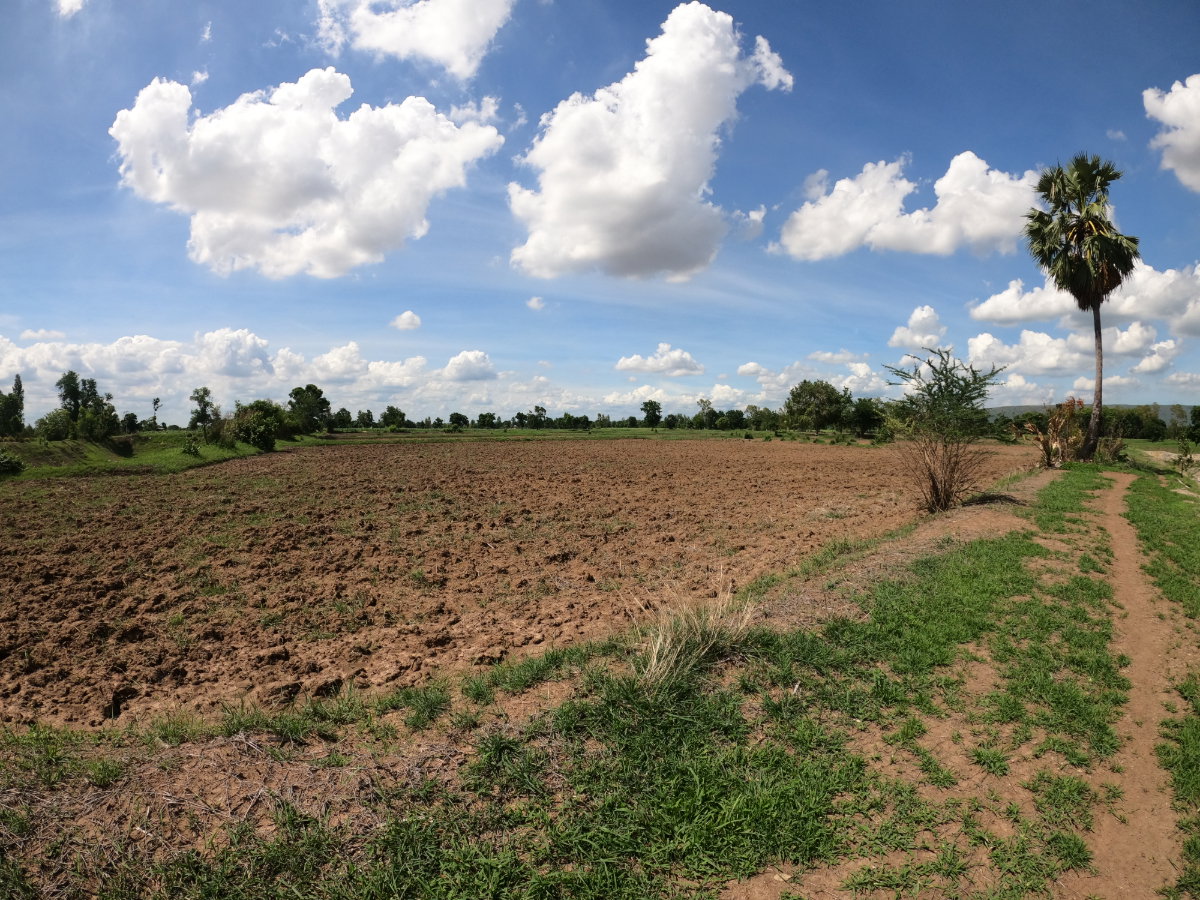 รูป ขายที่ดิน อ. โคกสำโรง จ. ลพบุรี 16 ไร่ - รูปที่ 7/16