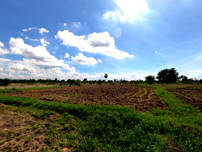 Land for sale Khok Samrong Lopburi : Land for Sale at Lopburi 16 Rai