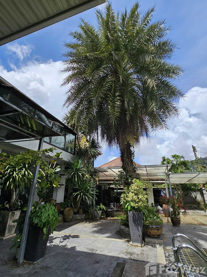 รูป บ้านเดี่ยวให้เช่า 4 ห้องนอน ใน รัษฎา, ภูเก็ต 1942805 - รูปที่ 9/25