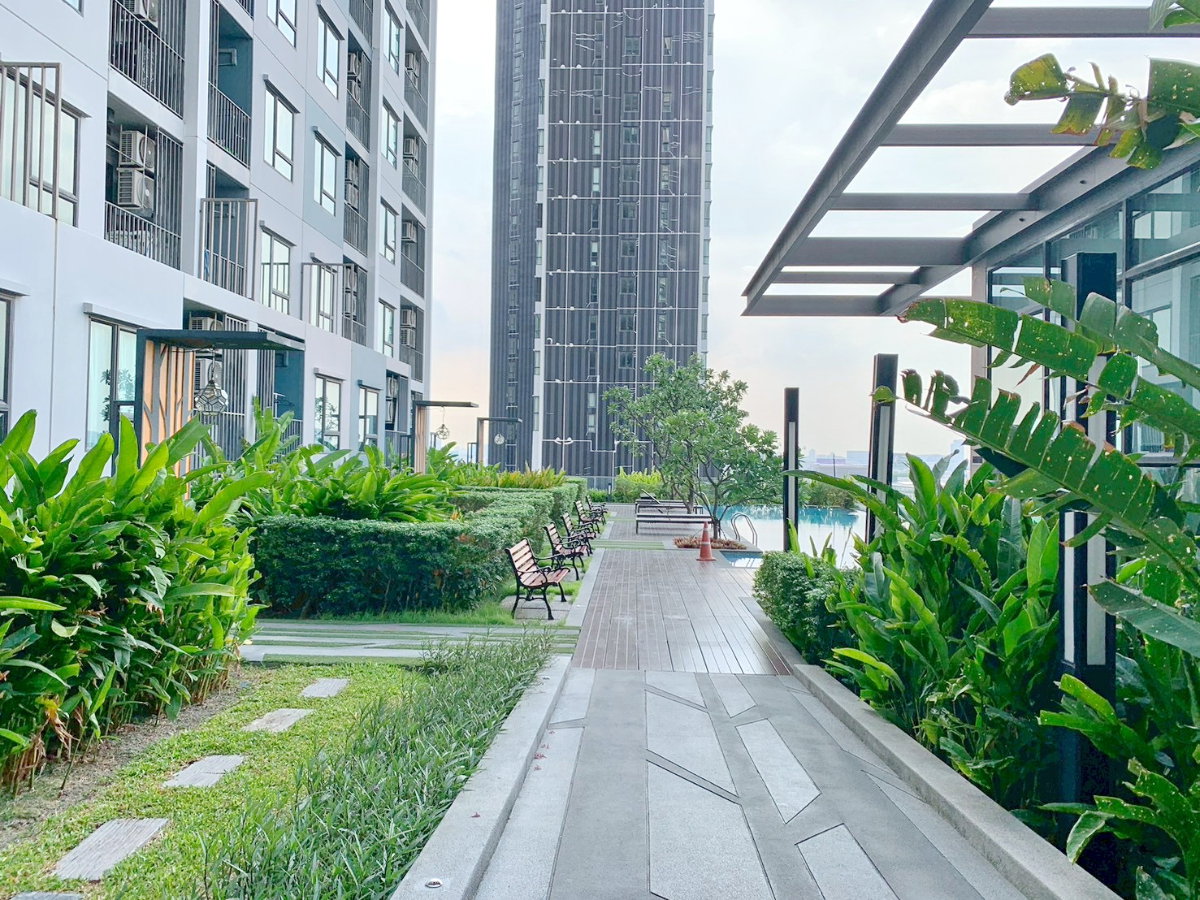 รูป ให้เช่า 1 ห้องนอน ริชพาร์ค แอท ทริปเปิ้ล สเตชั่น ใกล้ MRT และ APL หัวหมาก  - รูปที่ 11/14