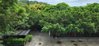 listing thumbnail image 13