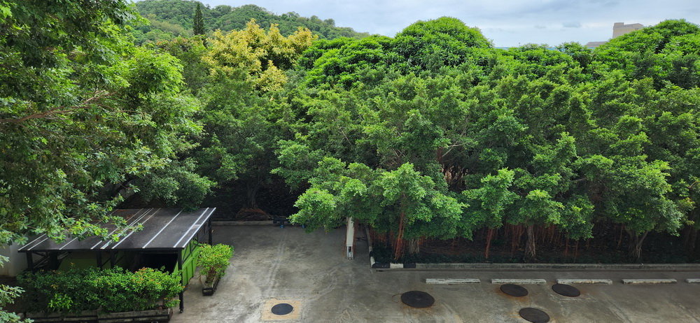 picture [For Rent] Sea Hill Condo Sriracha | Luxury Corner Unit - 14/43