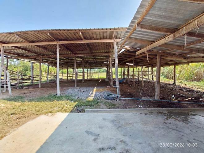 รูป บ้านเดี่ยว 200 ตร.วา เลาขวัญ กาญจนบุรี 1.1M - รูปที่ 6/32