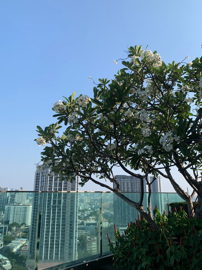 รูป ให้เช่าคอนโด Life @Sukhumvit 65 - รูปที่ 19/21