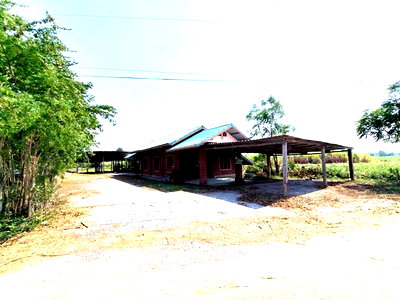 บ้านเดี่ยว กาญจนบุรี : บ้านเดี่ยว 200 ตร.วา เลาขวัญ กาญจนบุรี 1.1M