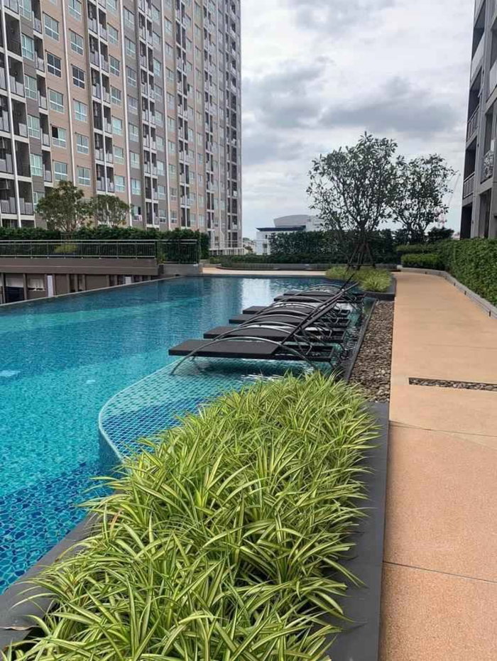 รูป Supalai Veranda phasi Charlie’s ชั้น22 ห้องสตูดิโอ ขนาด 29 ตรม. เช่า 10,000/เดือน  Line ID : @wealth.co - รูปที่ 7/14