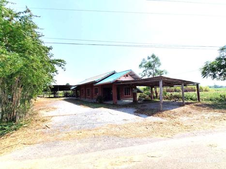 รูป บ้านเดี่ยว 200 ตร.วา เลาขวัญ กาญจนบุรี 1.1M - รูปที่ 29/32