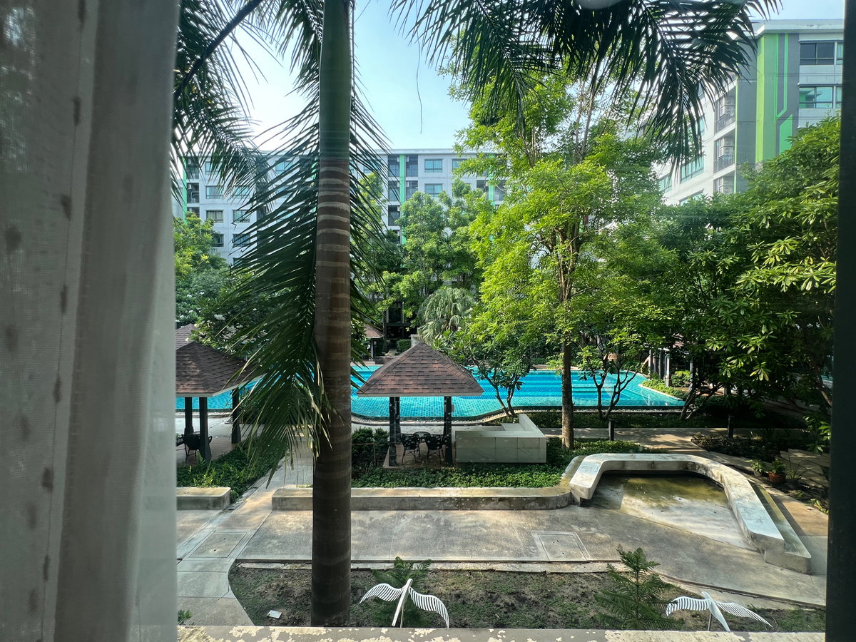picture ‼️for rent 8,000.-‼️Grene condo Donmueang phase 1 📲Tel./LINE : 099-289-1569 - 12/13