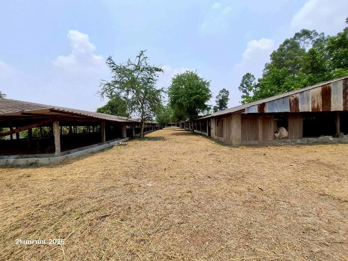 picture HOME 1275 Sq.w. Lat Yao Nakhon Sawan for 3.7M - 23/46