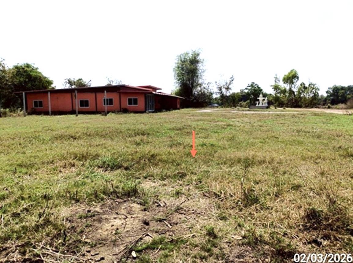 รูป บ้านเดี่ยว 4000 ตร.วา เมืองมหาสารคาม มหาสารคาม 7M - รูปที่ 12/18