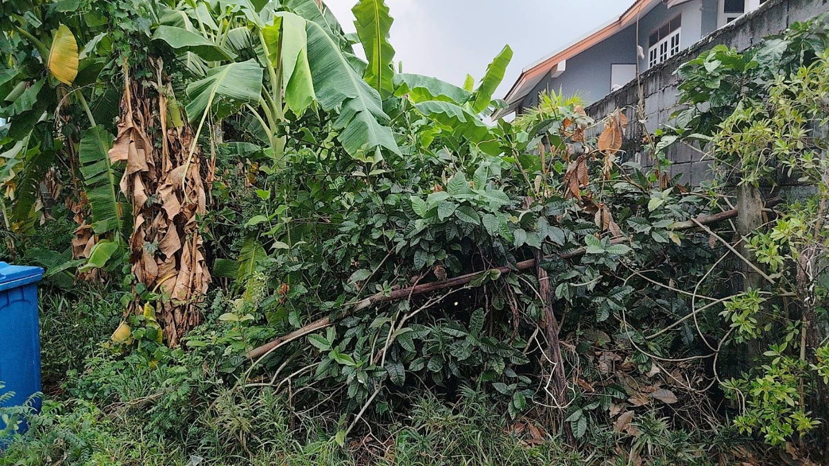 picture The Cheapest Land for Sale!! Phahonyothin 69 (Near BTS Station) - 1/7