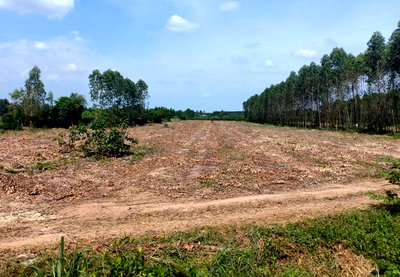 Land for sale Sri Maha Pho Prachinburi : Call : 096-995-9516 Vacant land in Prachinburi 38-1-7 rai, 3023 Road, Krok Somboon, Sri Maha Pho, Prachinburi