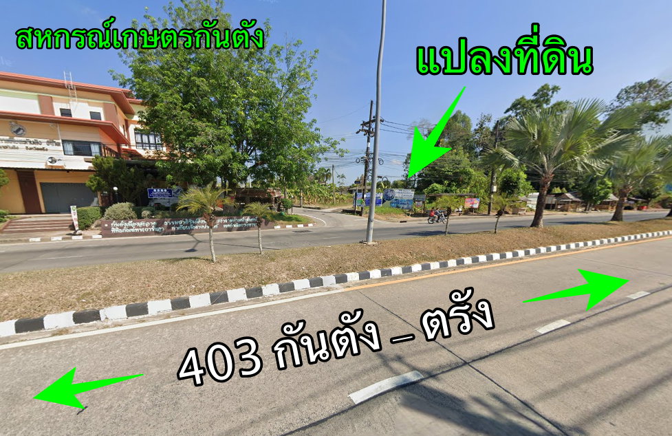 รูป กันตัง ตรัง ขายที่ดินติดถนนในเมือง - รูปที่ 1/7