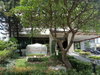 listing thumbnail image 11