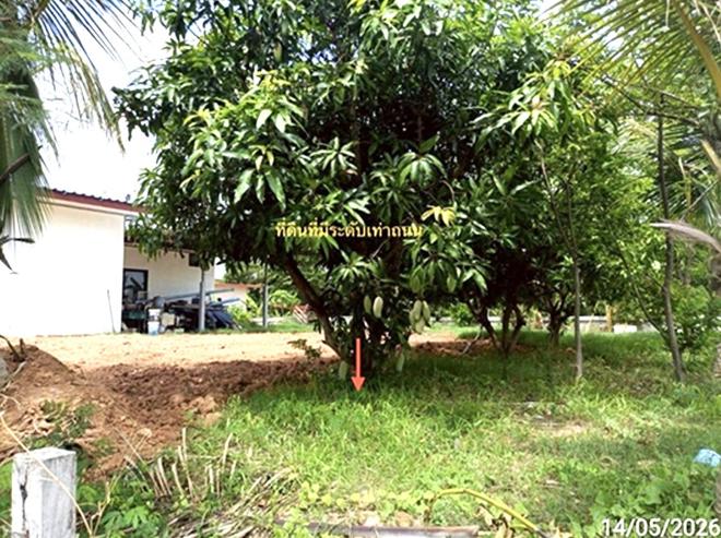 picture LAND 800 Sq.w. Borabu Maha Sarakham for 3.6M - 2/10